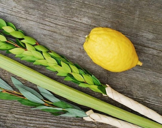 Succos Family Order Form (BC)